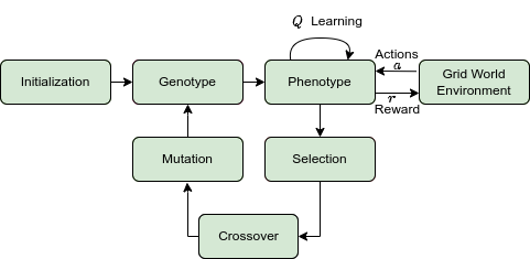 Evolutionary Process for Decision Trees